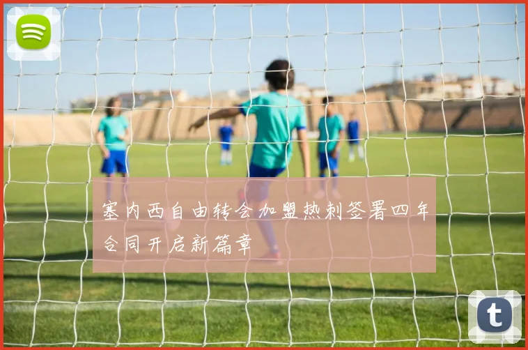 塞内西自由转会加盟热刺签署四年合同开启新篇章
